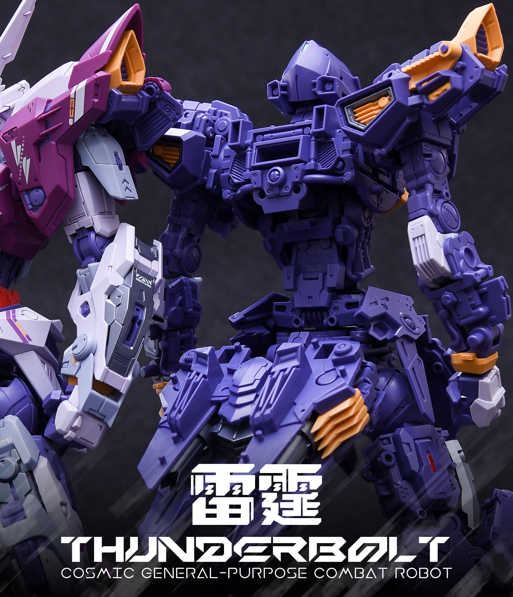 ERA+首款RMD 雷霆 Thunderbolt Plastic Model Toy Techvron Singapore